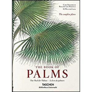 MARTIUS. THE BOOK OF PALMS