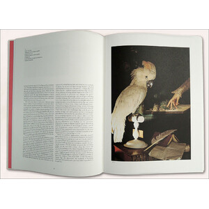 THE PARROTS. DIE PAPAGEIEN. LES PERROQUETS: THE COMPLETE PLATES 3