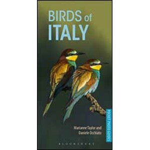 BIRDS OF ITALY
