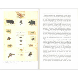 THE WONDERFUL MR WILLUGHBY: THE FIRST TRUE ORNITHOLOGIST 4