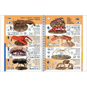 MARINE PICTOLIFE. MACARONESIA 4