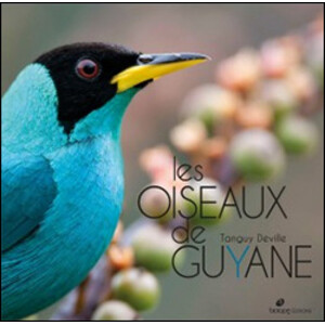 LES OISEAUX DE GUYANE