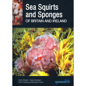SEA SQUIRTS AND SPONGES OF BRITAIR AND IRELAND