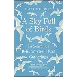 A SKY FULL OF BIRDS