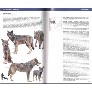 CANIDS OF THE WORLD. WOLVES, WILD DOGS, FOXES, JACKALS, COYOTES, AND THEIR RELATIVES 3