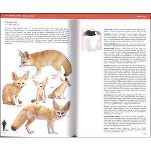 CANIDS OF THE WORLD. WOLVES, WILD DOGS, FOXES, JACKALS, COYOTES, AND THEIR RELATIVES 4
