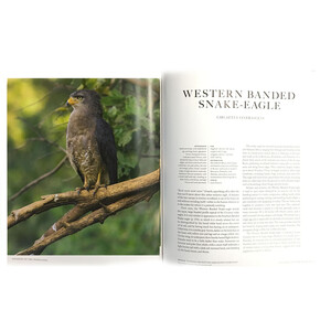THE EMPIRE OF THE EAGLE: AN ILLUSTRATED NATURAL HISTORY_1