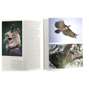THE EMPIRE OF THE EAGLE: AN ILLUSTRATED NATURAL HISTORY 4