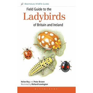 FIELD GUIDE TO THE LADYBIRDS OF BRITAIN AND IRELAND