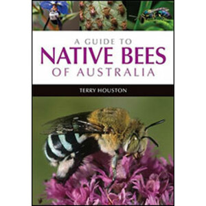 A GUIDE TO NATIVE BEES OF AUSTRALIA