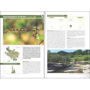 ATLAS DE LAS LIBÉLULAS DE ÁLAVA 4
