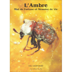 L'AMBRE. MIEL DE FORTUNE ET MÉMOIRE DE VIE