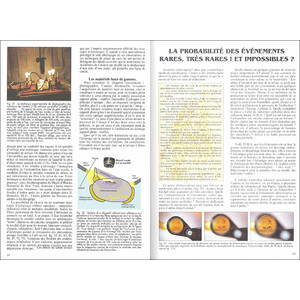 L'AMBRE. MIEL DE FORTUNE ET MÉMOIRE DE VIE_1