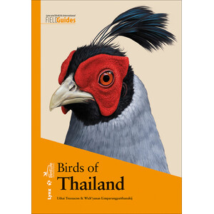 BIRDS OF THAILAND