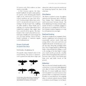 BIRDS OF PREY OF AUSTRALIA: A FIELD GUIDE 6