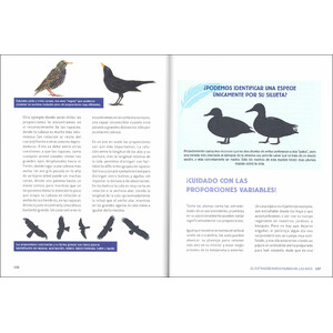 EL EXTRAORDINARIO MUNDO DE LAS AVES 3