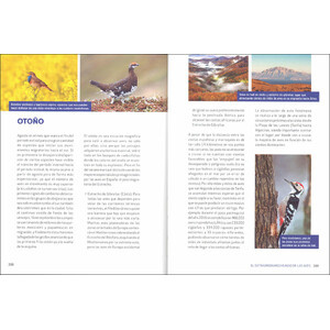 EL EXTRAORDINARIO MUNDO DE LAS AVES 4