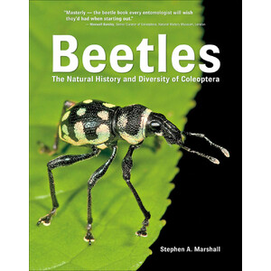BEETLES: THE NATURAL HISTORY AND DIVERSITY OF COLEOPTERA