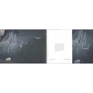 BALLET NOCTURNE. UN REGARD SUR LES CHAUVES- SOURIS DE L'ARC JURASSIEN 3