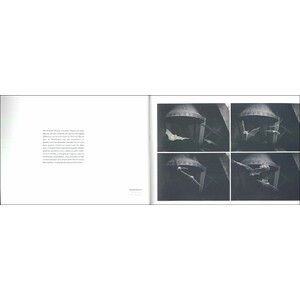 BALLET NOCTURNE. UN REGARD SUR LES CHAUVES- SOURIS DE L'ARC JURASSIEN 4