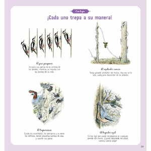 EL LIBRO DE LOS PÁJAROS 3