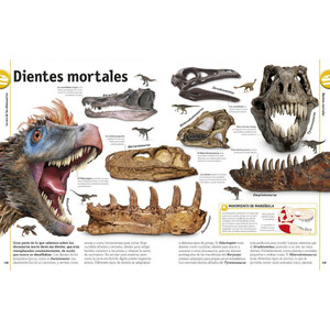 EL LIBRO DE LOS DINOSAURIOS 3