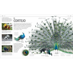 SECRETOS DE LA NATURALEZA 3