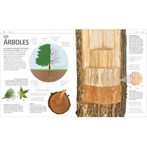 SECRETOS DE LA NATURALEZA 4