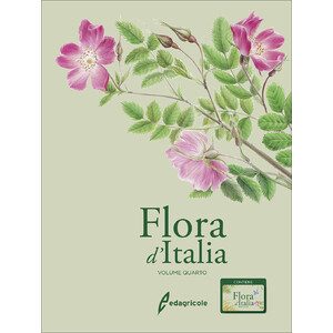 FLORA D'ITALIA. VOLUME QUARTO