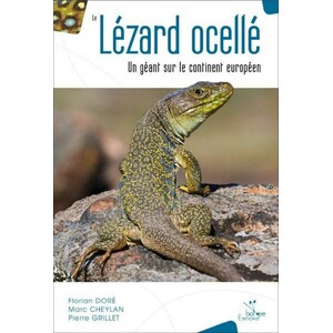 LE LÉZARD OCELLÉ. UN GÉANT SUR LE CONTINENT EUROPÉEN