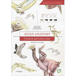 AVIAN ANATOMY