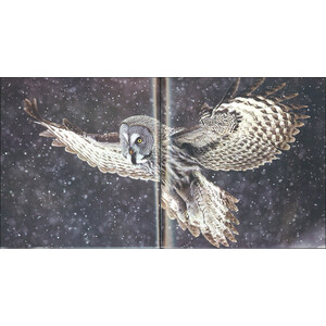 BIRDS IN PICTURES 3