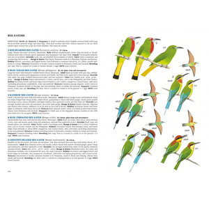 A FIELD GUIDE TO THE BIRDS OF MALAYSIA &AMP; SINGAPORE 3