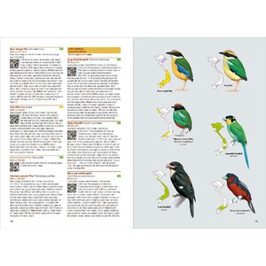 BIRDS OF VIETNAM 4