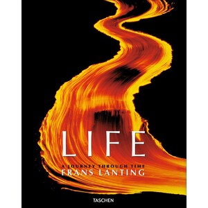 LIFE. A JOURNEY THROUGH TIME
