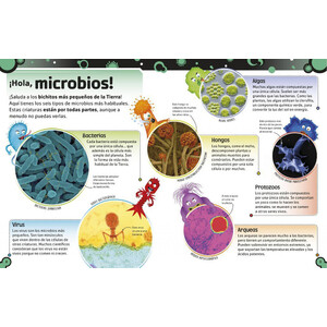 EL LIBRO DE LAS BACTERIAS. FEOS GÉRMENES, VIRUS MALOS Y HONGOS CHUNGOS_1