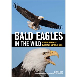 BALD EAGLES IN THE WILD