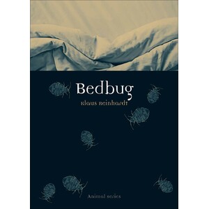 BEDBUG