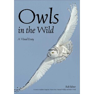 OWLS IN THE WILD