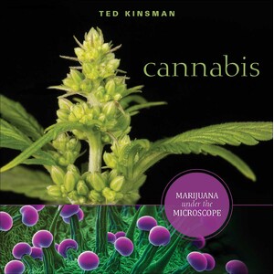 CANNABIS. MARIJUANA UNDER THE MICROSCOPE