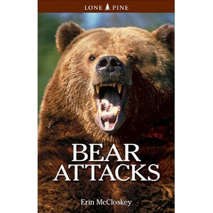 BEAR ATTACKS