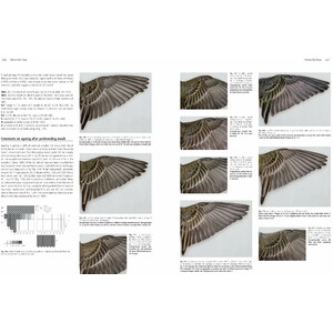MOULT AND AGEING OF EUROPEAN PASSERINES 2