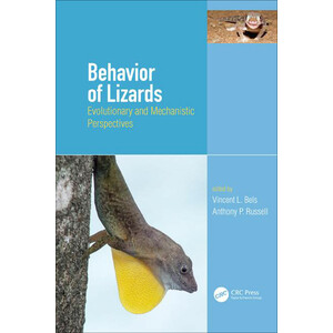 BEHAVIOR OF LIZARDS