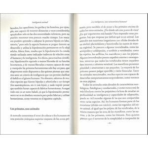 INTELIGENCIA ANIMAL. CABEZA DE CHORLITOS Y MEMORIA DE ELEFANTES_1