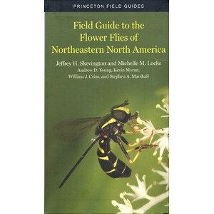 FIELD GUIDE TO THE FLOWER FLIES OF NORTHEASTERN NORTH AMERICA