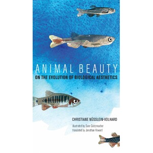 ANIMAL BEAUTY . ON THE EVOLUTION OF BIOLOGICAL AESTHETICS