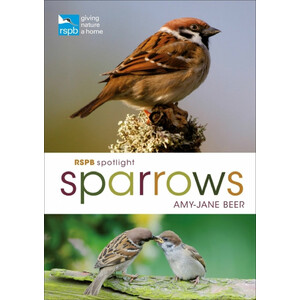 RSPB SPOTLIGHT SPARROWS