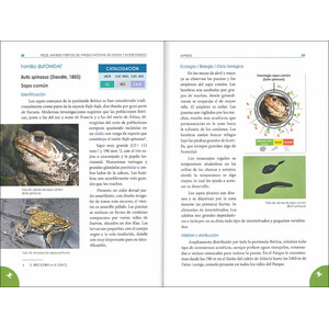 PECES, ANFIBIOS Y REPTILES DEL PARQUE NACIONAL DE ORDESA Y MONTE PERDIDO 3