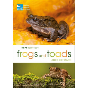 RSPB SPOTLIGHT FROGS AND TOADS