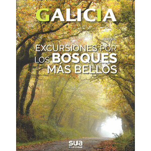 GALICIA. EXCURSIONES POR LOS BOSQUES MÁS BELLOS